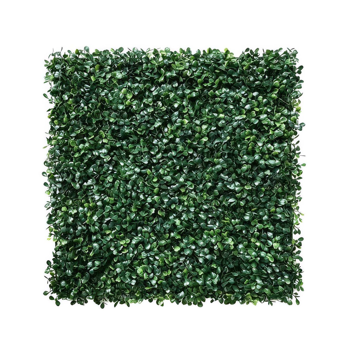 Grass & Succulent Mix Green Wall Panel 1m x 1m