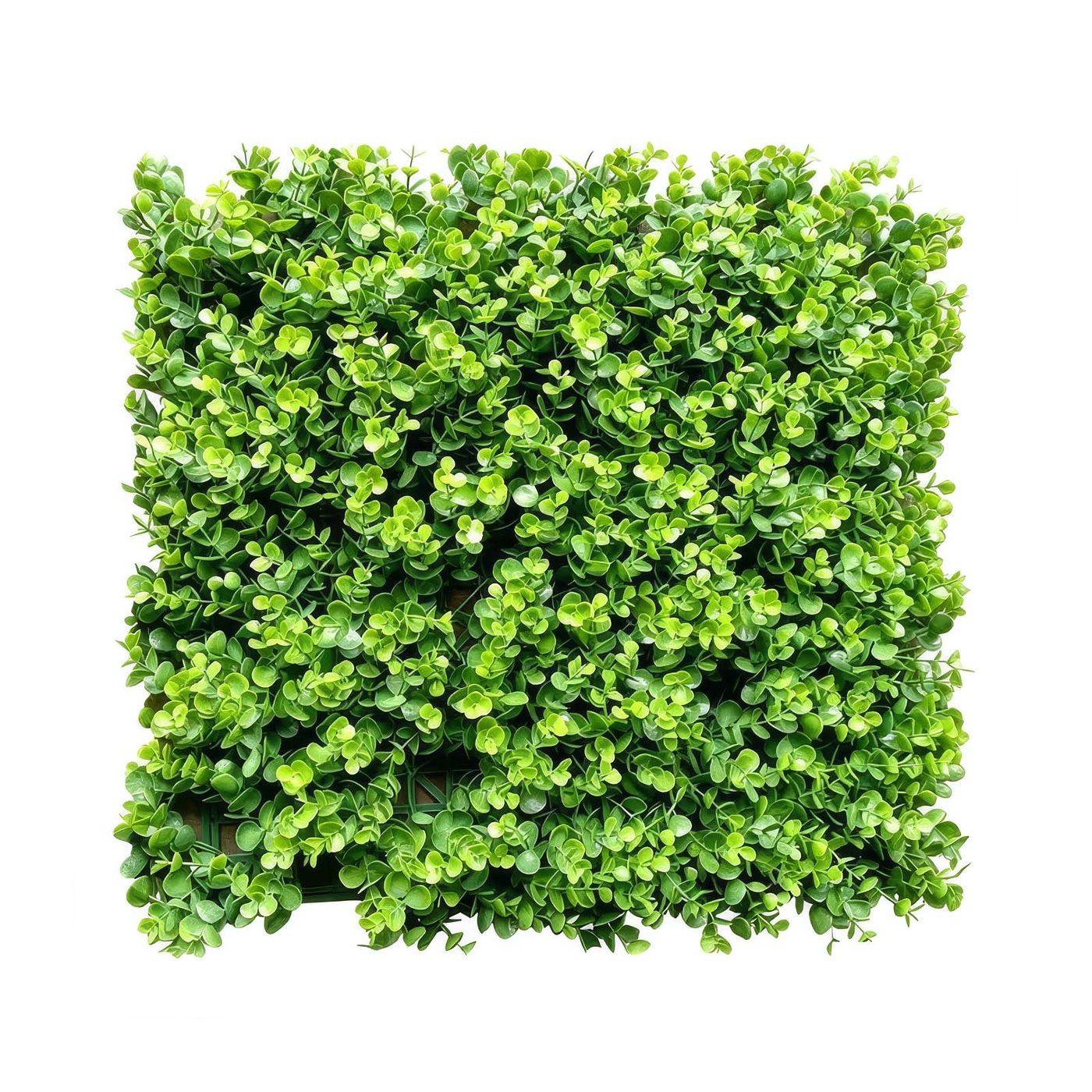 Wild Meadow Green Wall Panel 1m x 1m