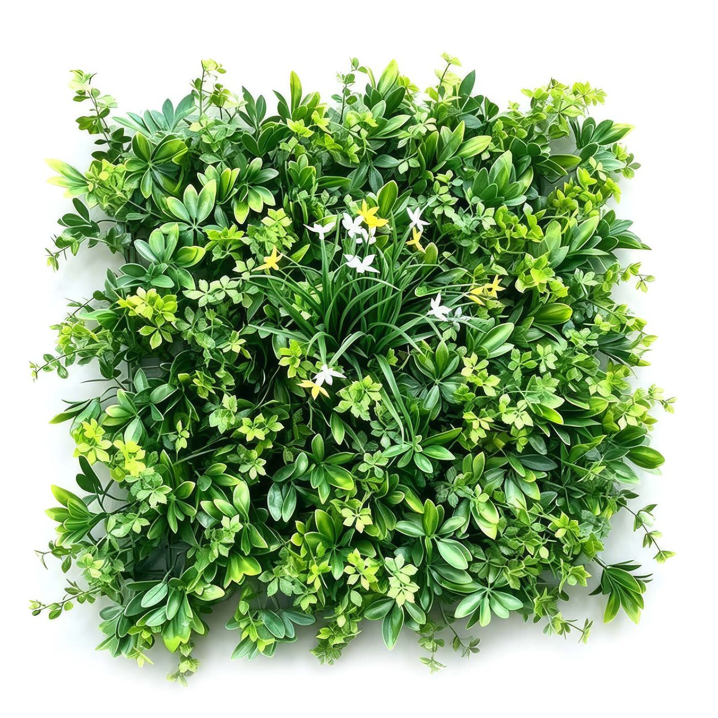 Tropical Monstera Mix Green Wall Panel 1m x 1m
